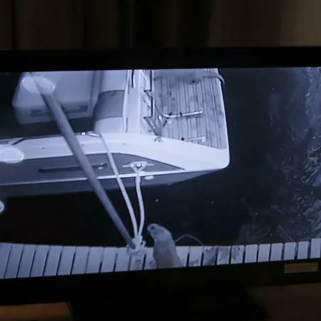 Daire Marina Boathouse, Windermere Lets